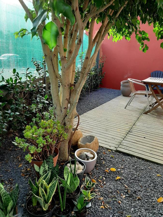 Casa Das Yucas - Patio Apartment Capelas Ngoại thất bức ảnh