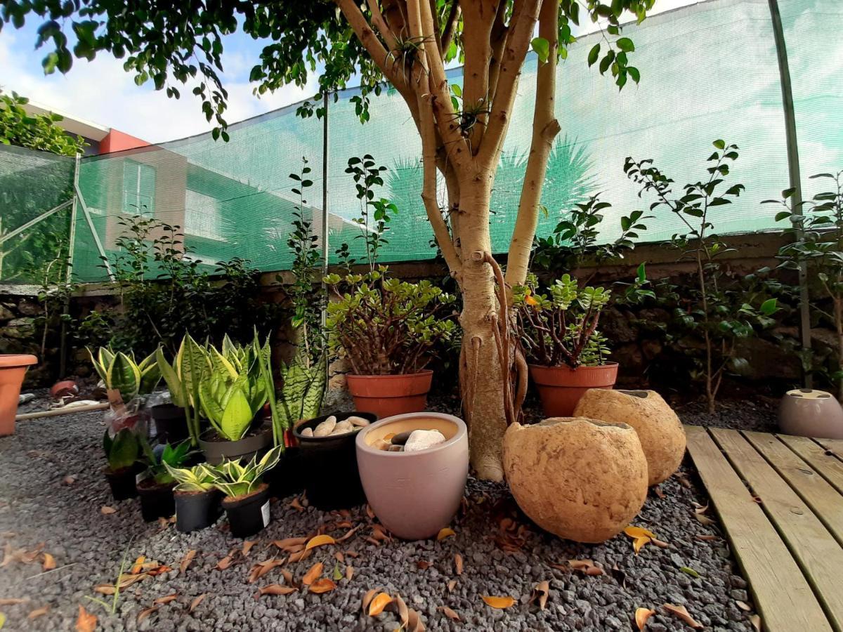 Casa Das Yucas - Patio Apartment Capelas Ngoại thất bức ảnh