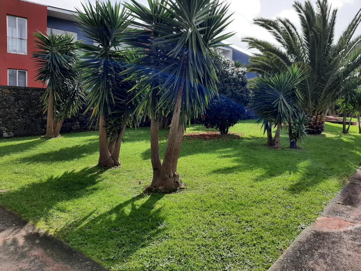 Casa Das Yucas - Patio Apartment Capelas Ngoại thất bức ảnh
